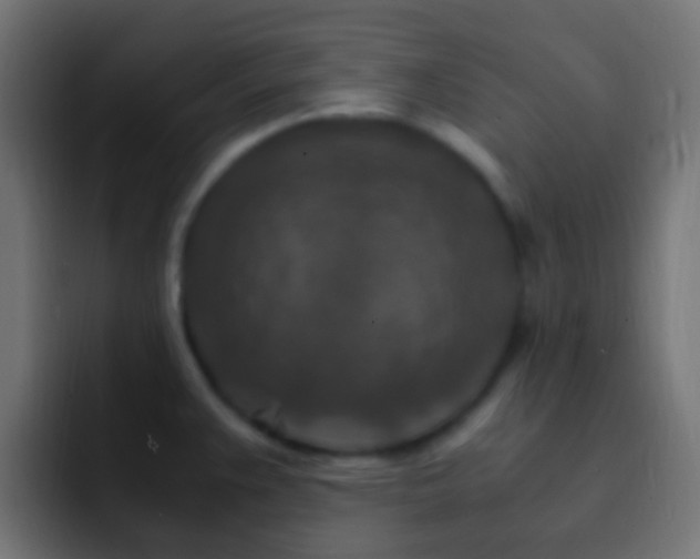 X0000093151383200710031420