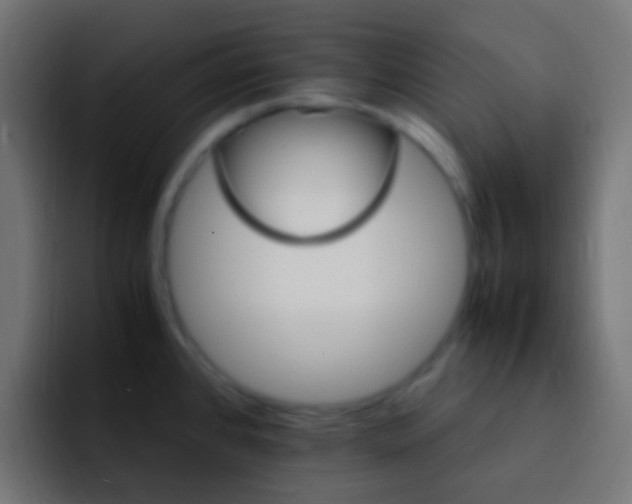 X0000093151384200710031420