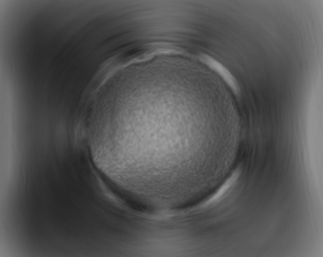 X0000093151385200710031420