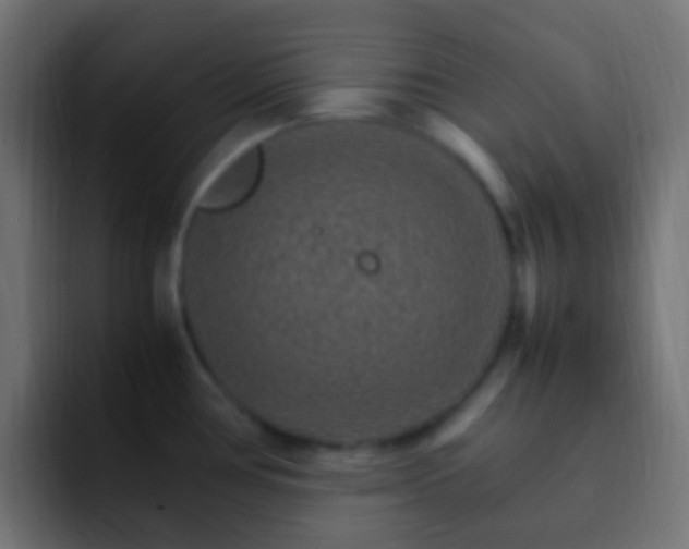 X0000093151386200710031420