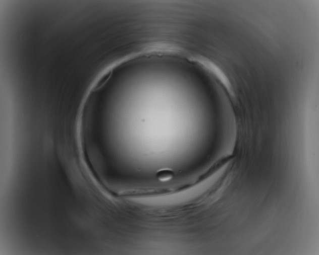 X0000093151391200710031420