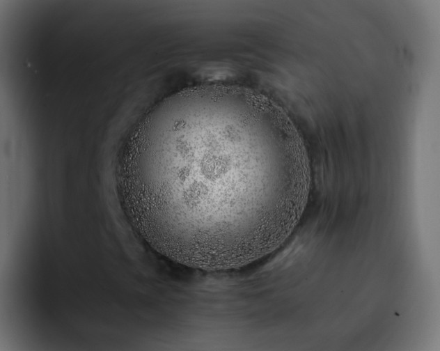X0000093151393200710031419