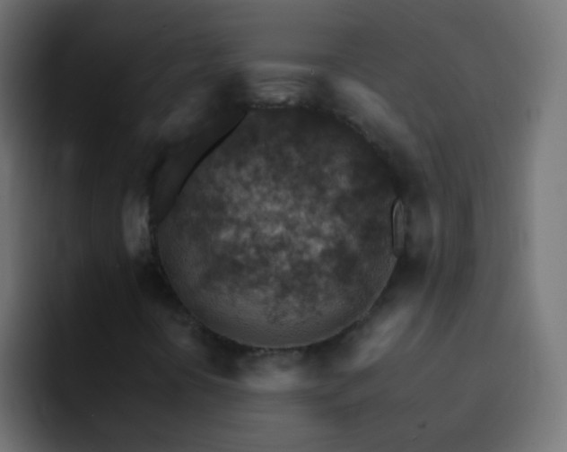 X0000093151394200710031419