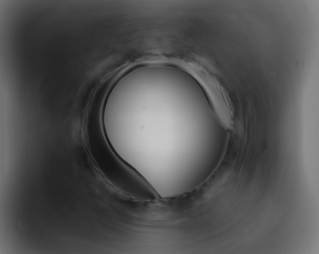 X0000093151398200710031419