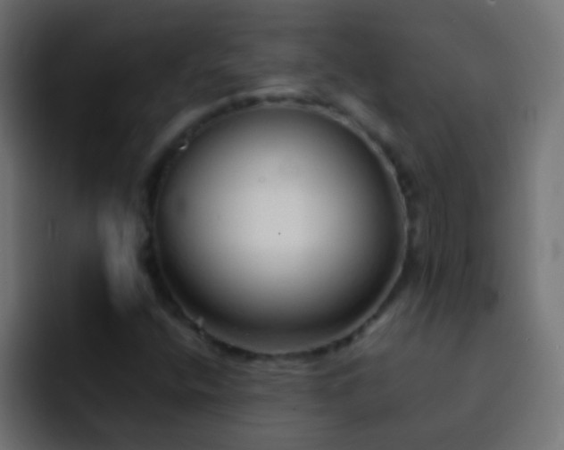 X0000093151400200710031419