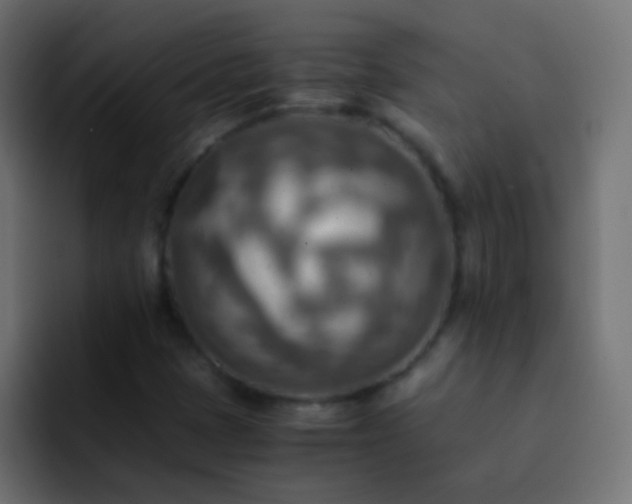 X0000093151401200710031419