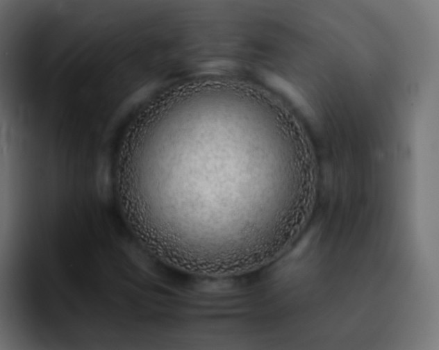 X0000093151403200710031419