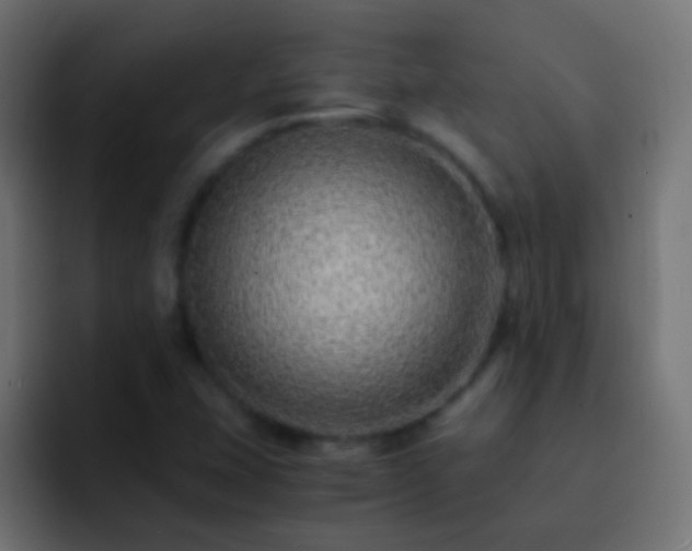 X0000093151407200710031419