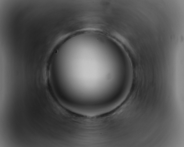 X0000093151408200710031419