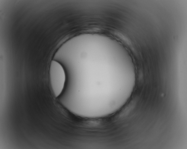X0000093151409200710031419