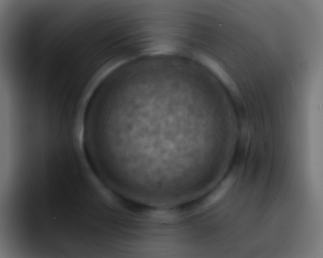 X0000093151418200710031420