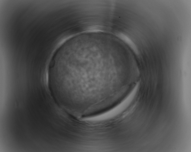 X0000093151419200710031420