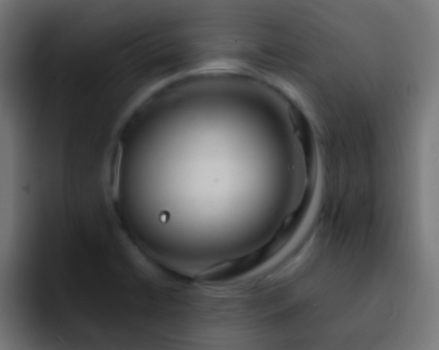 X0000093151422200710031420
