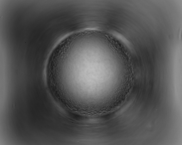 X0000093151423200710031420
