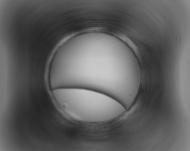 X0000093151429200710031420