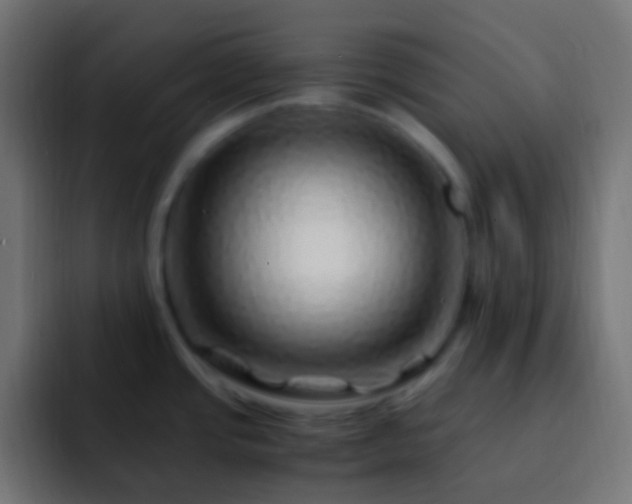 X0000093151437200710031420