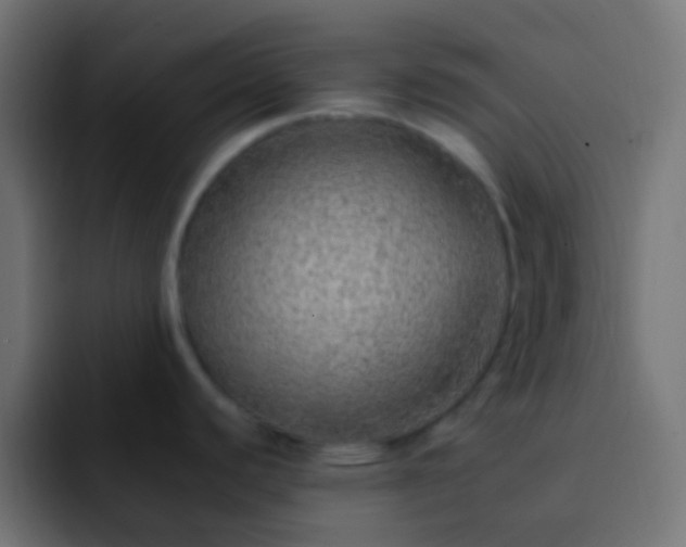 X0000093151440200710031420