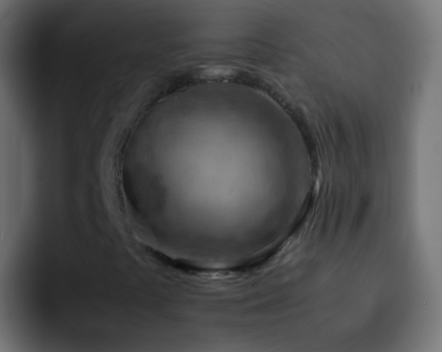 X0000093151441200710031419