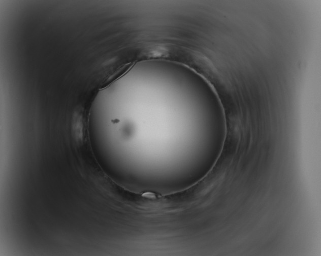 X0000093151442200710031419