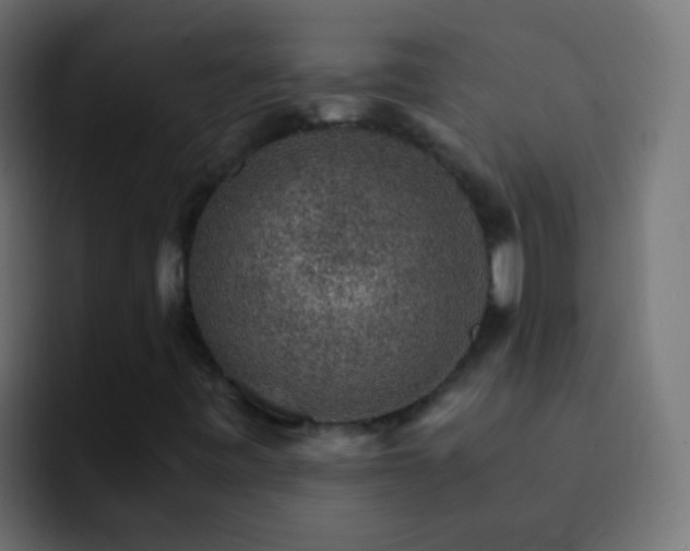 X0000093151443200710031419