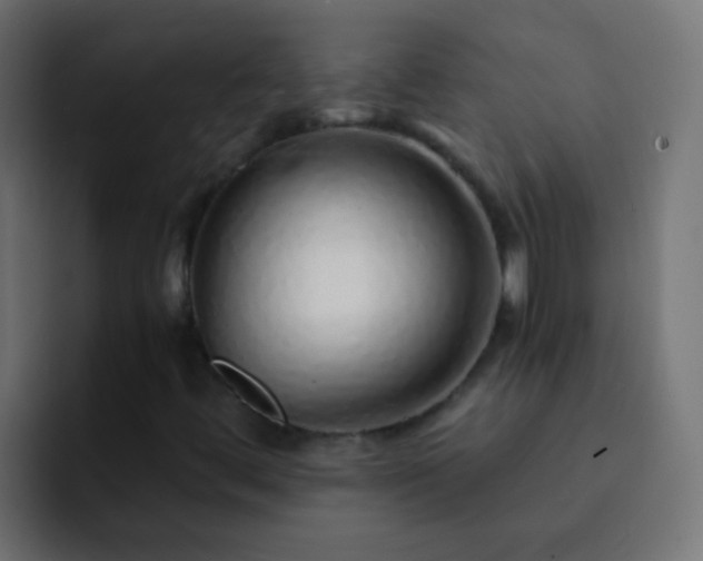X0000093151444200710031419