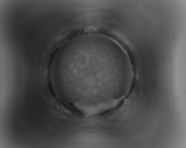 X0000093151445200710031419