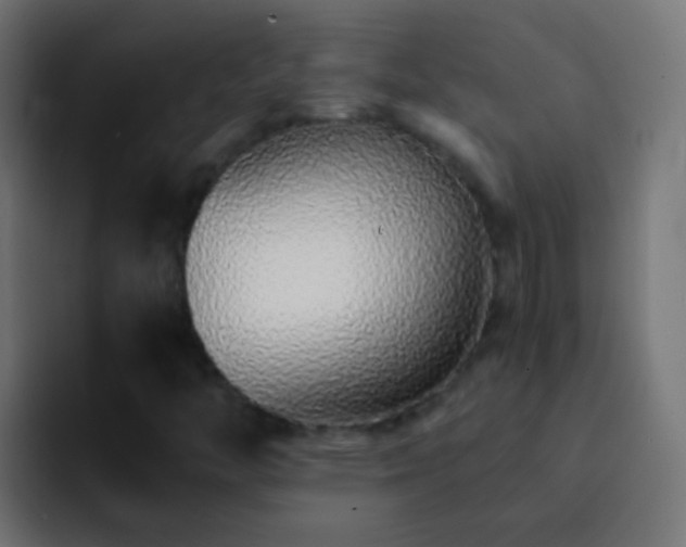 X0000093151446200710031419