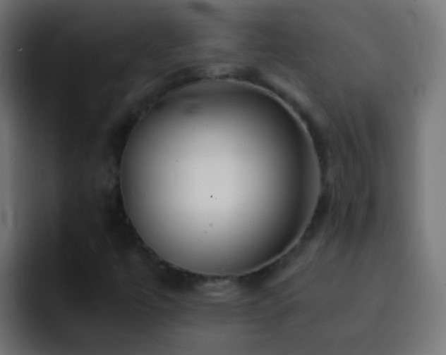 X0000093151447200710031419