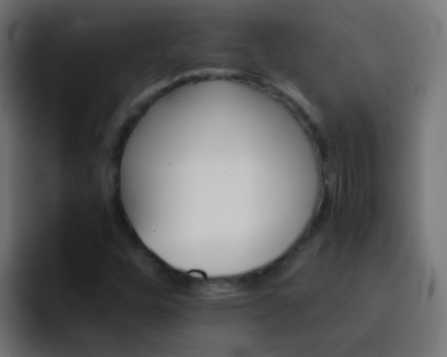 X0000093151448200710031419
