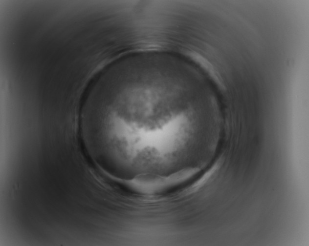 X0000093151449200710031419