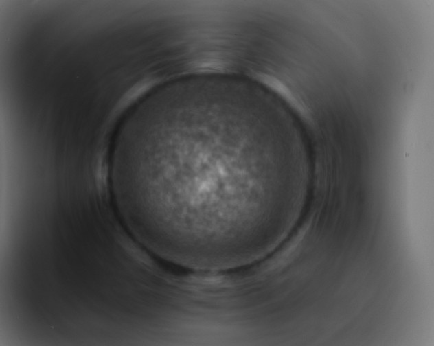 X0000093151450200710031419