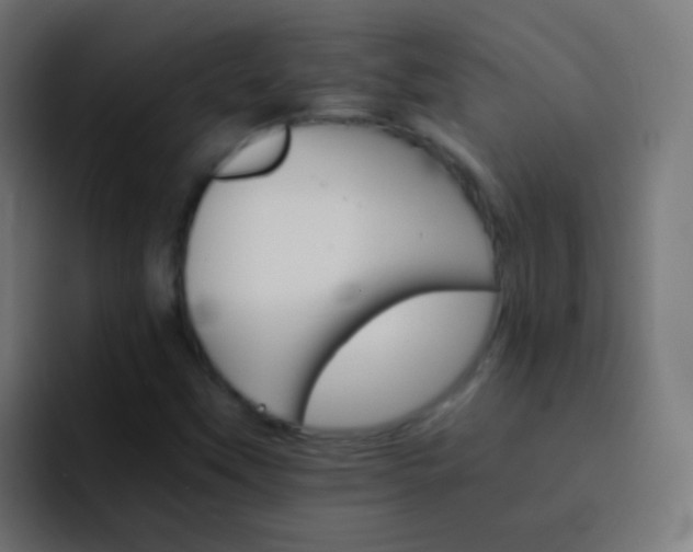 X0000093151451200710031419