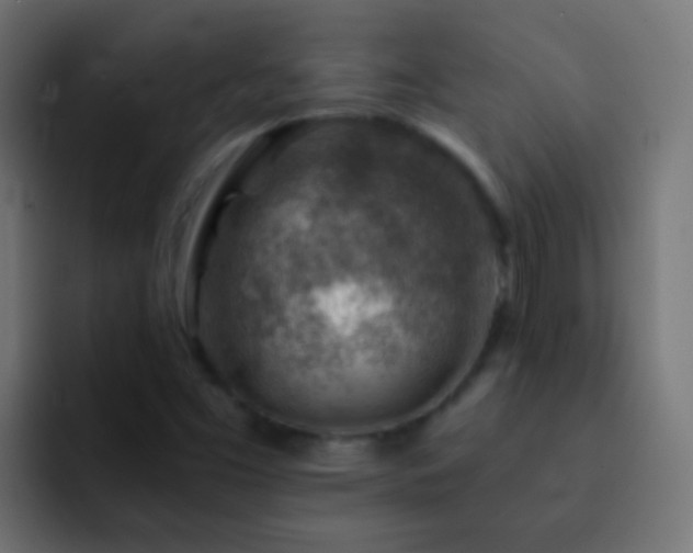 X0000093151453200710031419