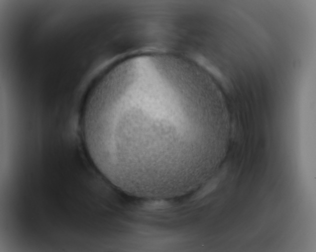 X0000093151454200710031419