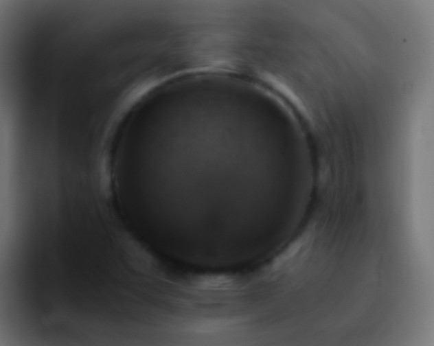 X0000093151455200710031419
