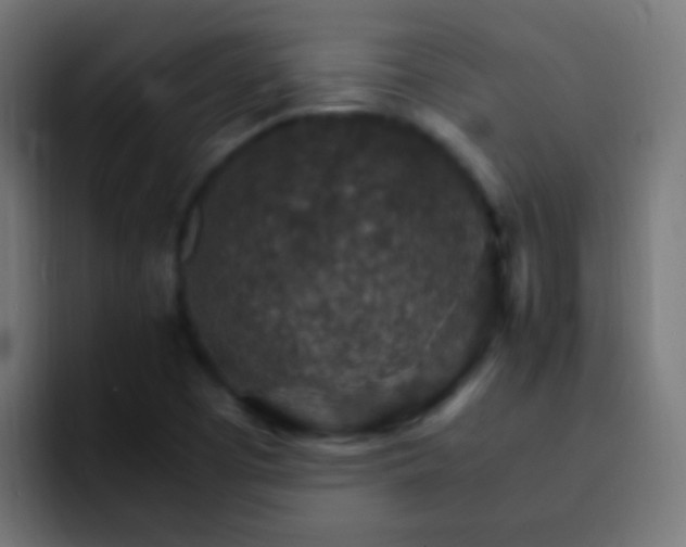 X0000093151457200710031419