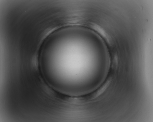 X0000093151458200710031419