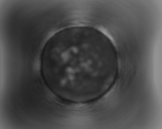 X0000093151459200710031419