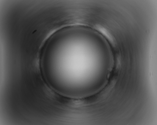 X0000093151460200710031419