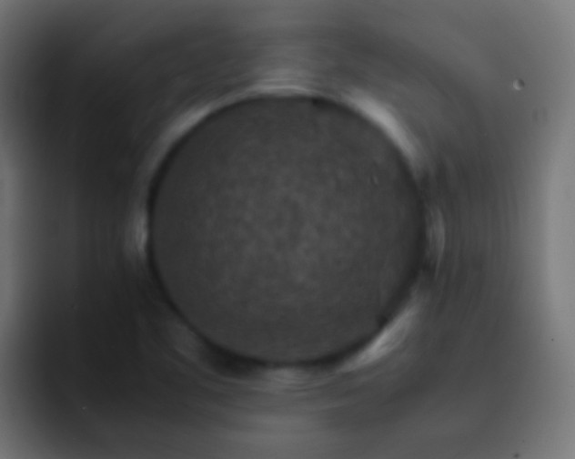 X0000093151461200710031419
