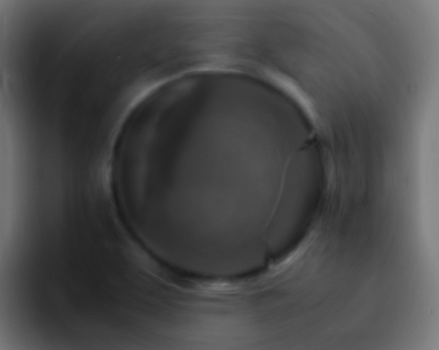 X0000093151463200710031419