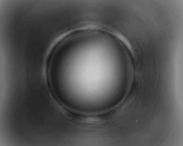 X0000093151464200710031419