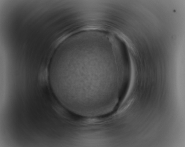 X0000093151465200710031419