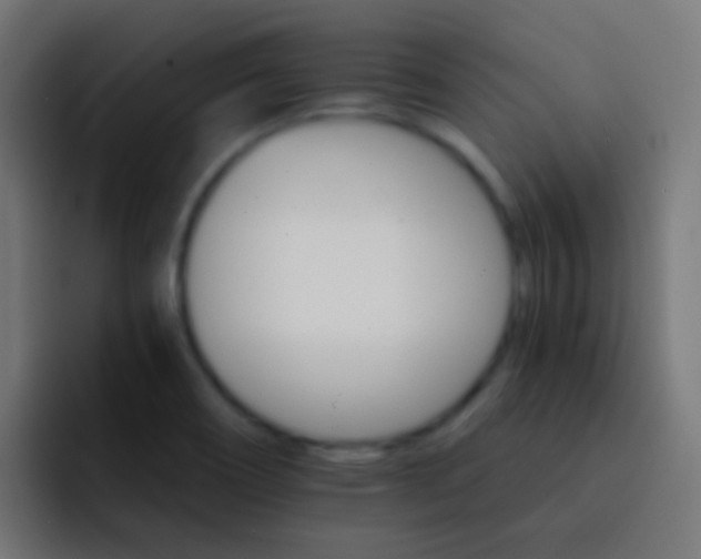 X0000093151466200710031419
