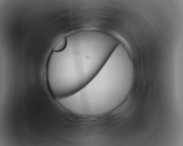 X0000093151467200710031419