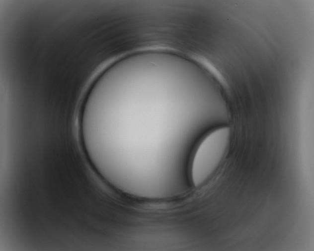 X0000093151468200710031419