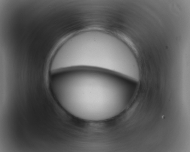 X0000093151469200710031419