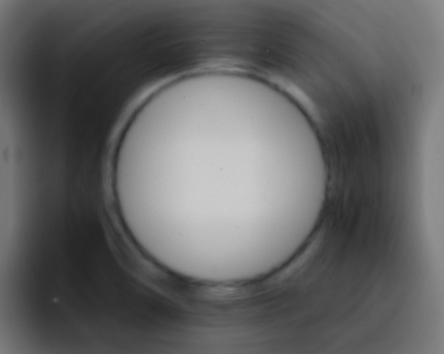 X0000093151470200710031419