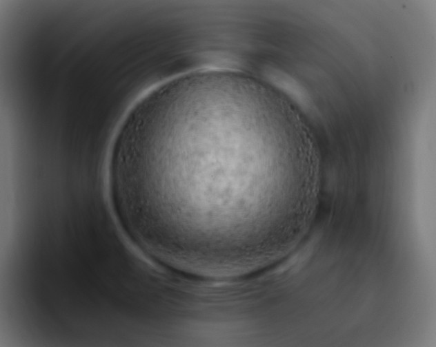 X0000093151471200710031419