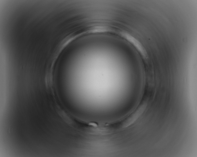 X0000093151473200710031419